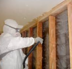 AGH Construction Termite Repair