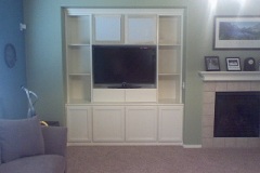 built-in-entertainment-unit