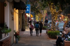HollidayWalk