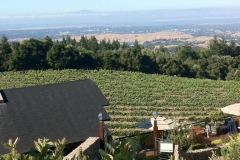 winery