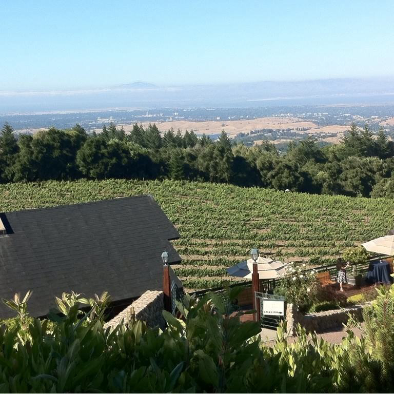 winery