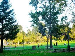 city-park