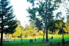 city-park