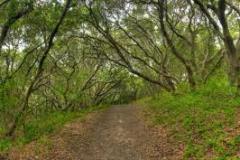 junipero-serra-park